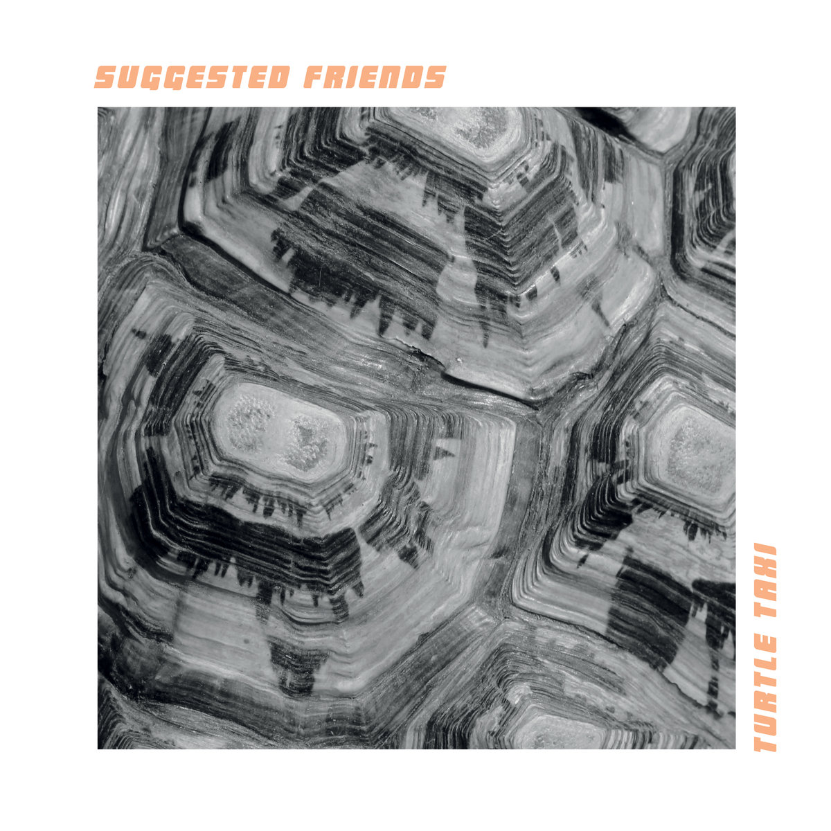 Suggested Friends - Turtle Taxi - LP (2019)