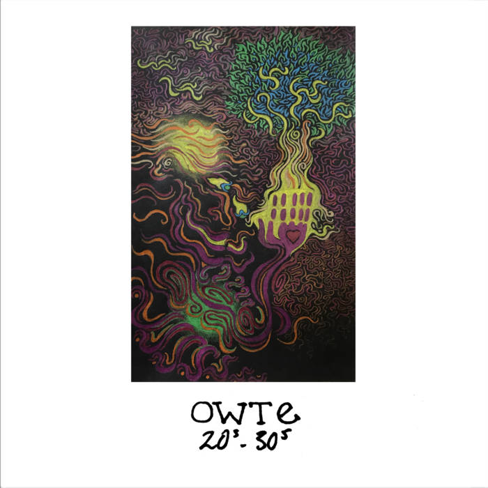 Owte - 20s-30s - CD (2017)